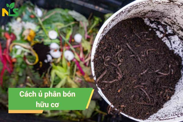 cach-u-phan-bon-huu-co