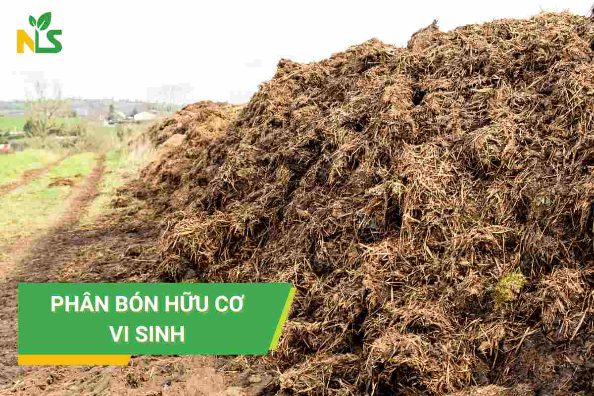 Phân bón hữu cơ vi sinh