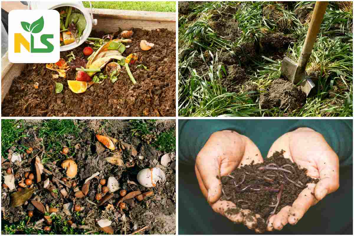 Các loại phân bón hữu cơ phổ biến cho rau