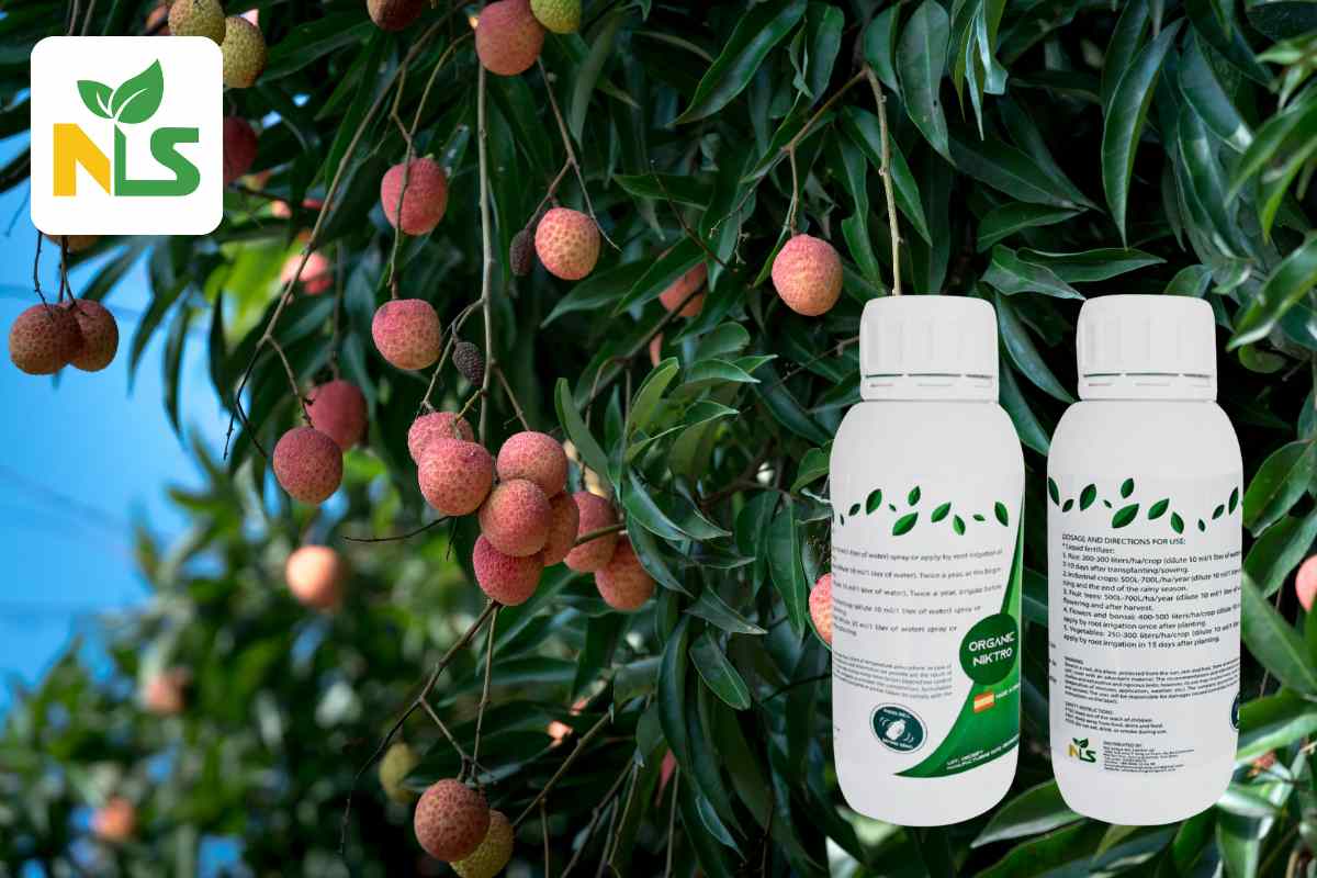 ORGANIC NIKTRO