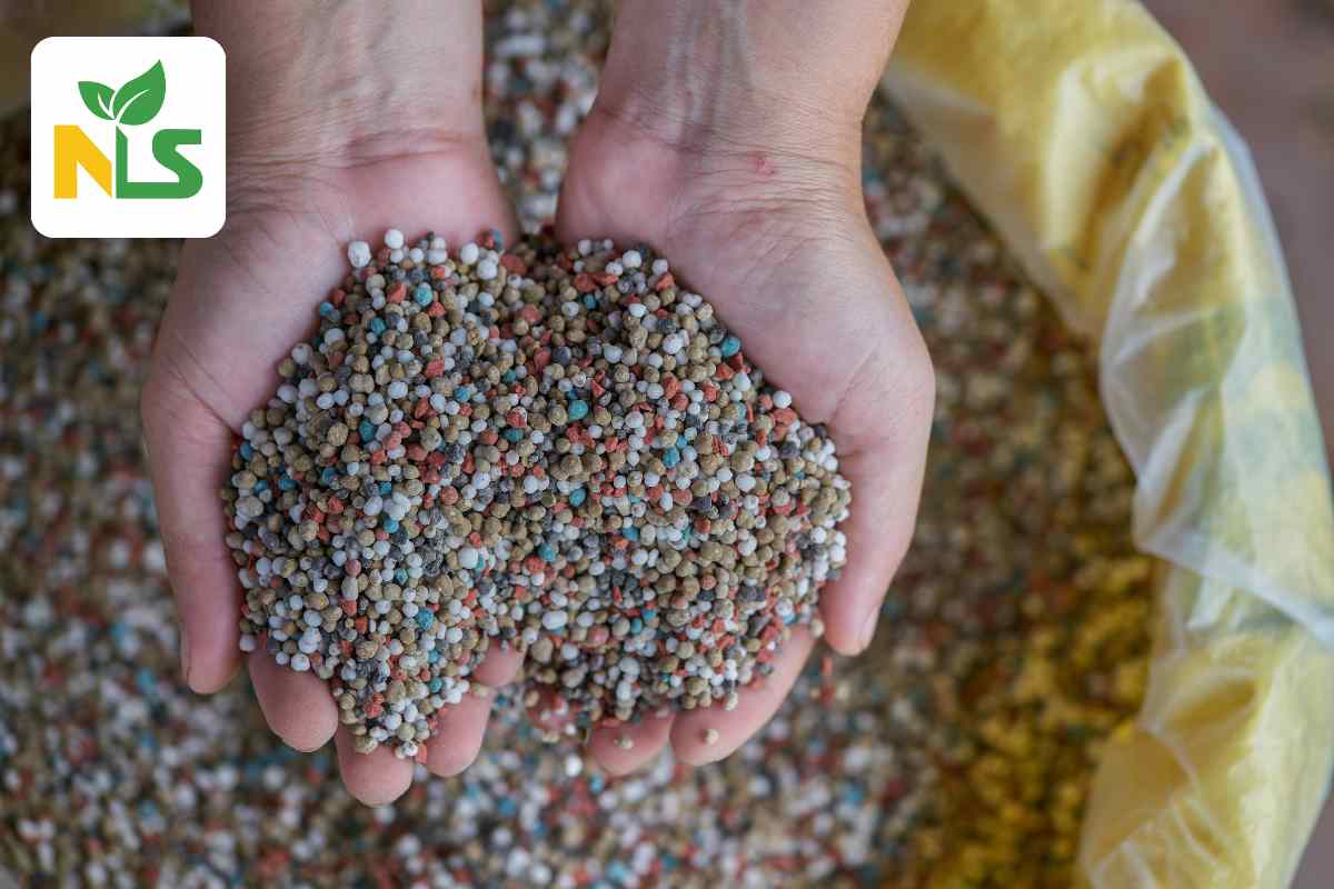 Phân tổng hợp NPK