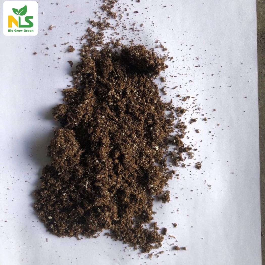 Ngoại quan sản phẩm giá thể ươm giống SEDA