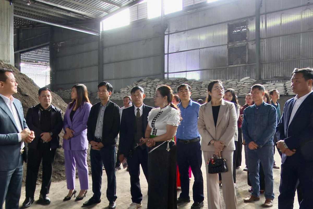 Các hình ảnh tham quan nhà máy của NLS