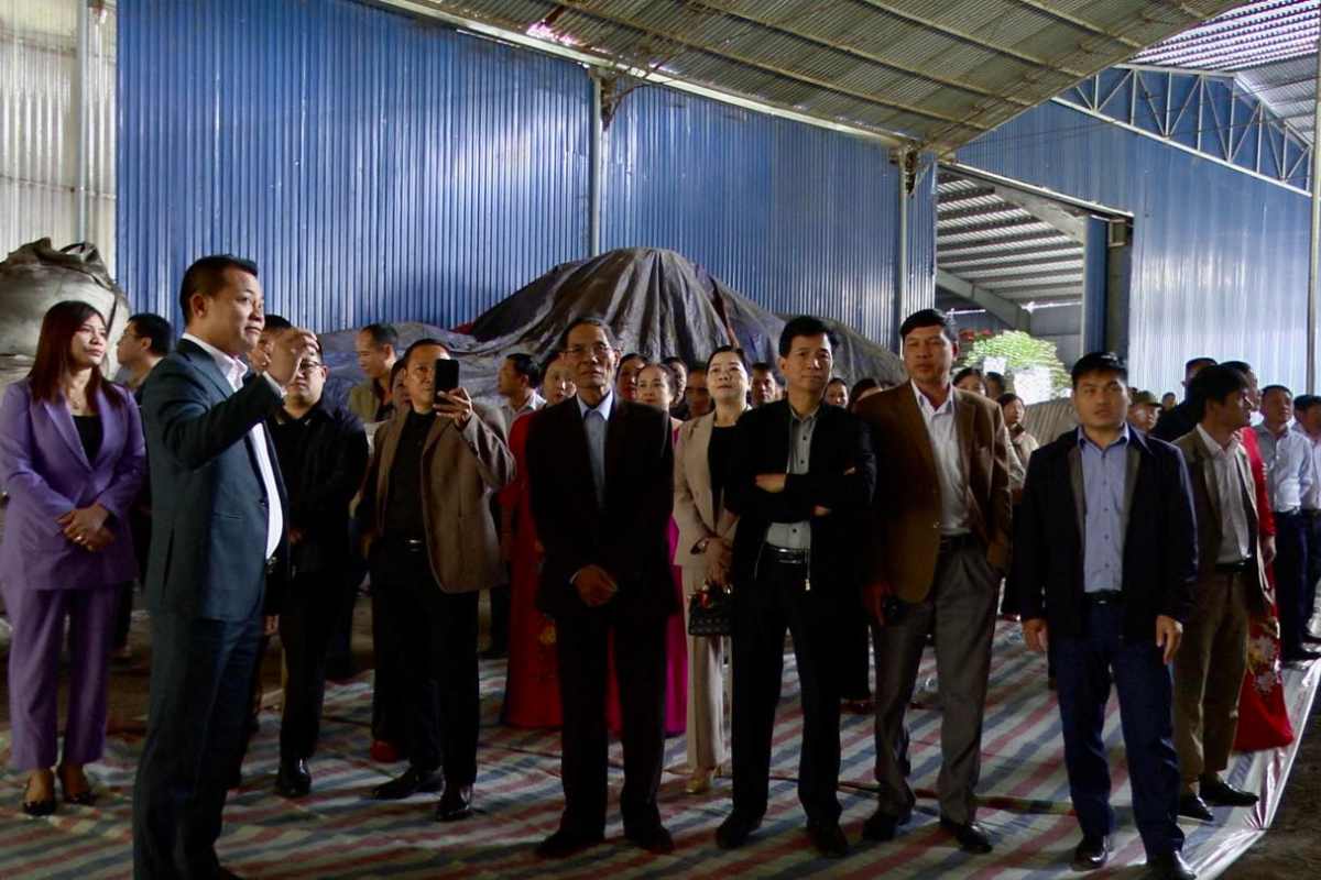 Các hình ảnh tham quan nhà máy của NLS