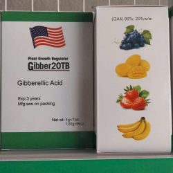 Gibber 20TB – GA4