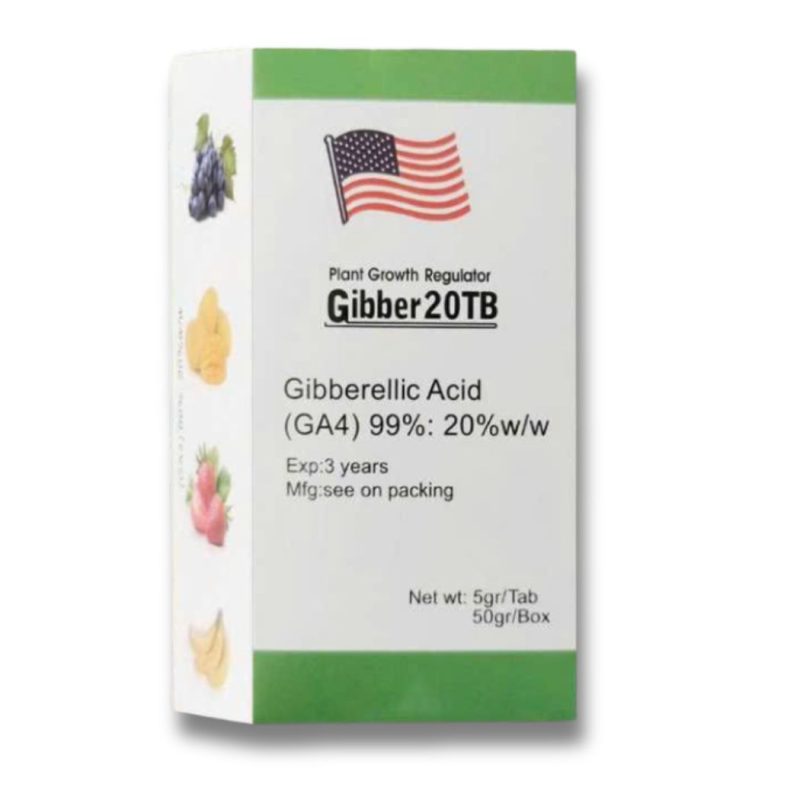 Gibber 20TB – GA4
