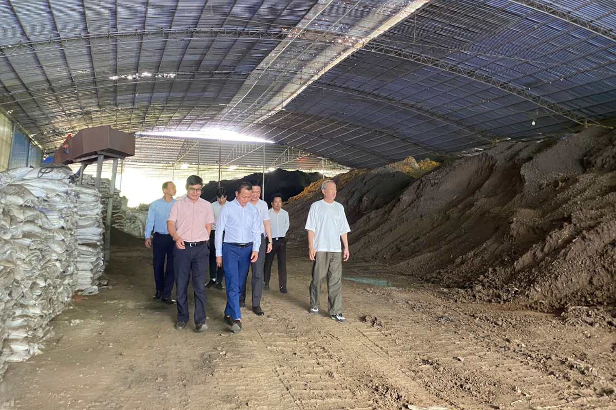 Đoàn Đối Tác Nhật Bản Tham Quan Nhà Máy Phân Bón Năng Lượng Sạch Sơn La