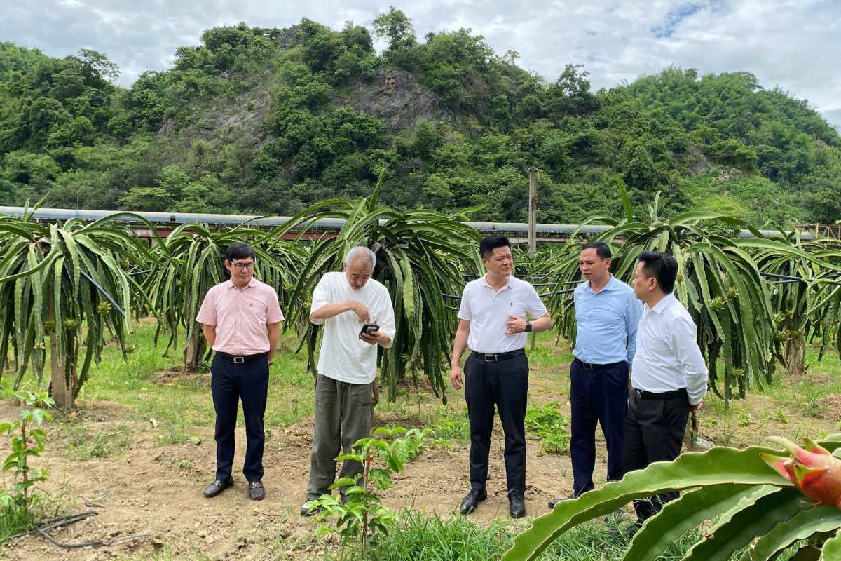 Đoàn Đối Tác Nhật Bản Tham Quan Nhà Máy Phân Bón Năng Lượng Sạch Sơn La