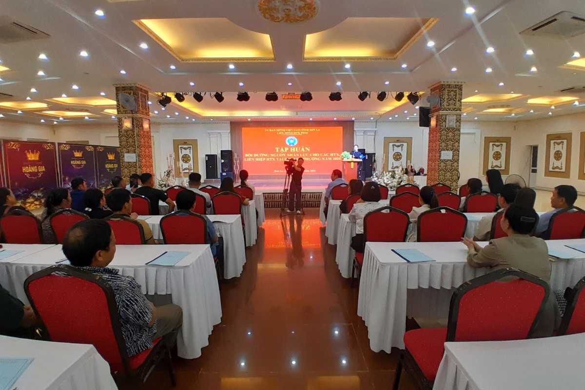 Chương trình tập huấn của Liên minh HTX kết nối doanh nghiệp và hợp tác xã