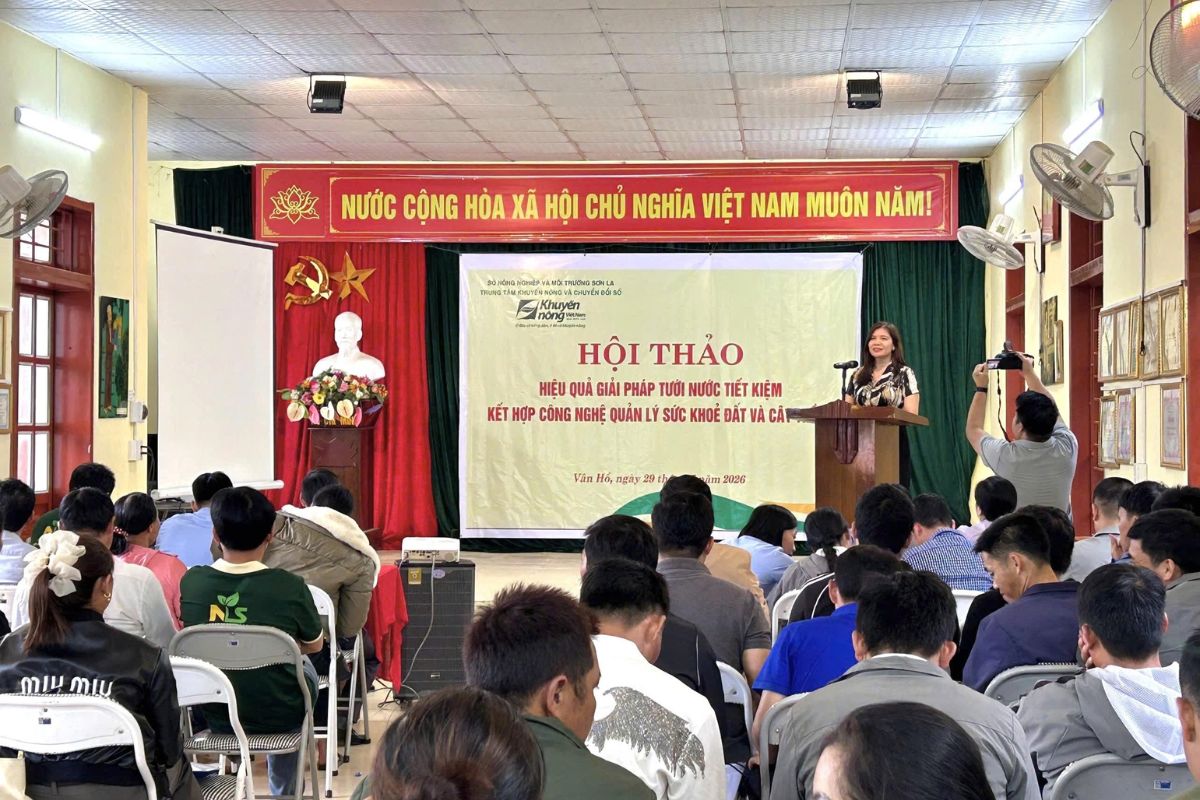 Giải pháp tưới nước tiết kiệm