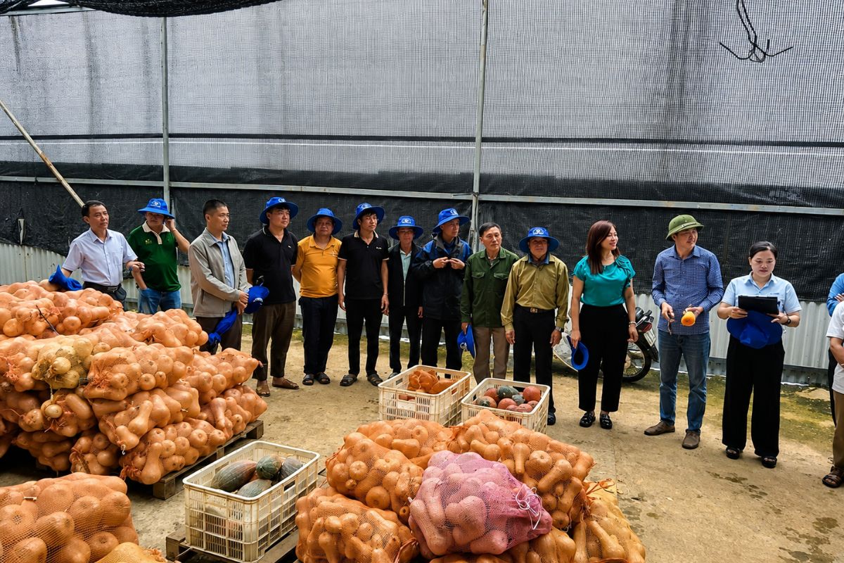 Hướng tới nền nông nghiệp hiệu quả và phát triển bền vững
