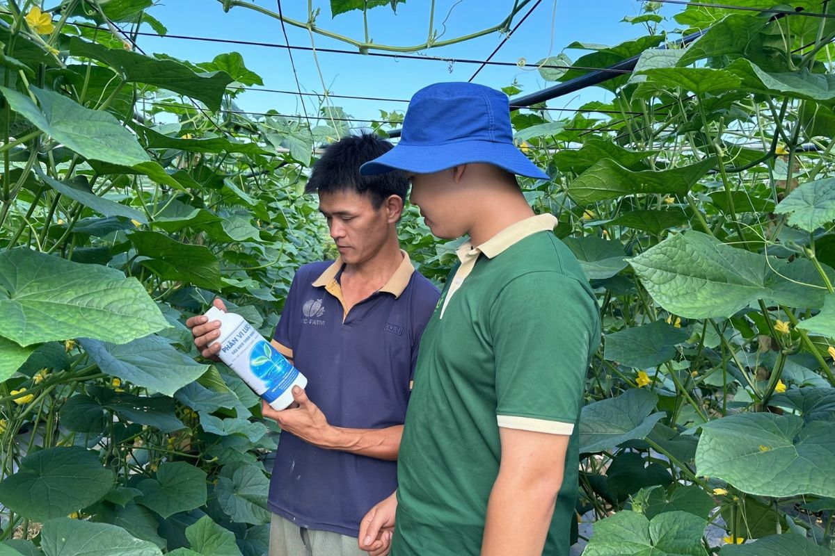 Đúng dinh dưỡng – Đúng quy trình – Cây trả lời bằng kết quả