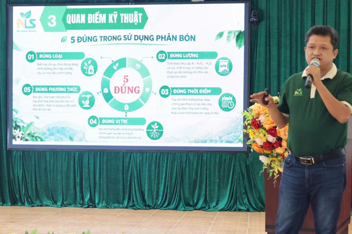 Tiết kiệm phân bón gắn liền với năng suất